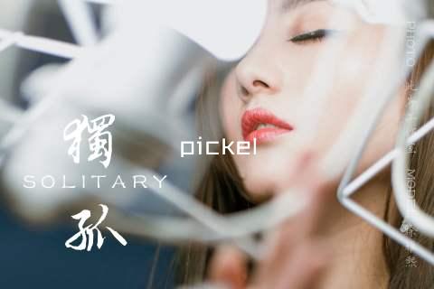 pickel